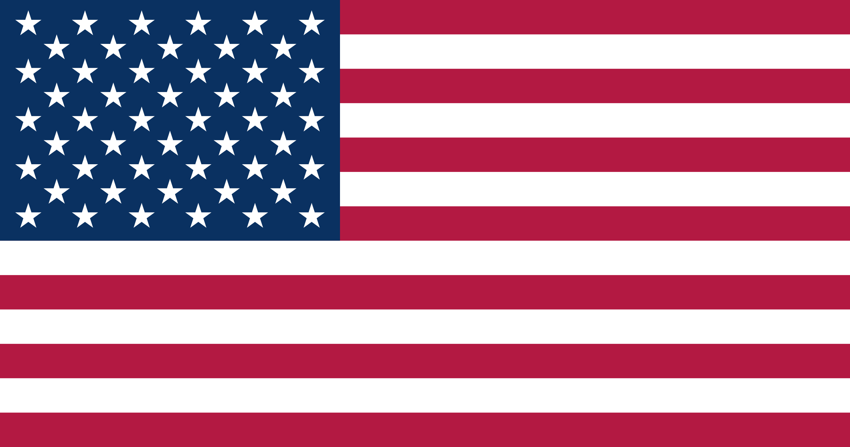 COMMON.USA_FLAG
